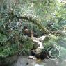ARREGLO REPRESA 2009
