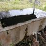A-TUB BB LIBARDO PALM (6)