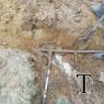 A-TUB SECT CEMENTERIO (1)