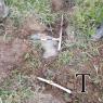 A-TUB SECT CEMENTERIO (29)