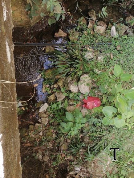 BASURAS NACI AGUA (1)