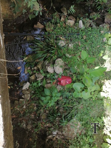BASURAS NACI AGUA (2)