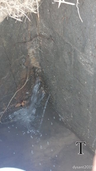 DAÑO DESA ISIDRO (1)