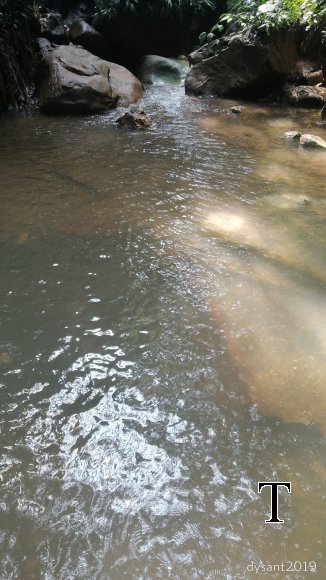 MANT REPRESA MARZO (1)