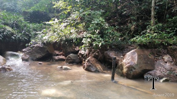 MANT REPRESA MARZO (10)