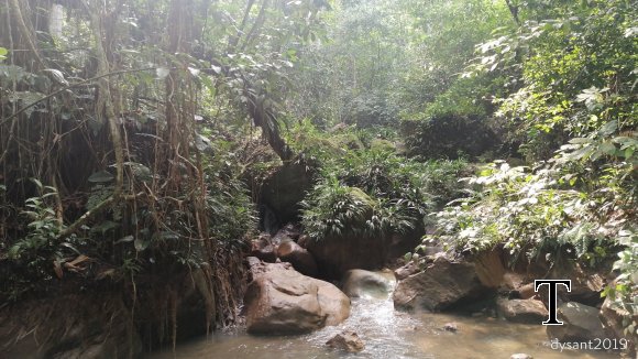 MANT REPRESA MARZO (11)