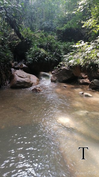 MANT REPRESA MARZO (15)