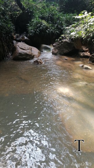 MANT REPRESA MARZO (16)