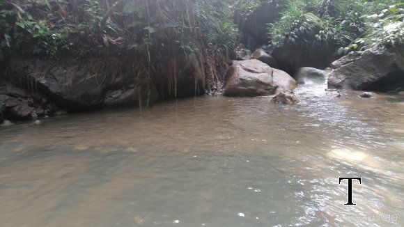 MANT REPRESA MARZO (6)