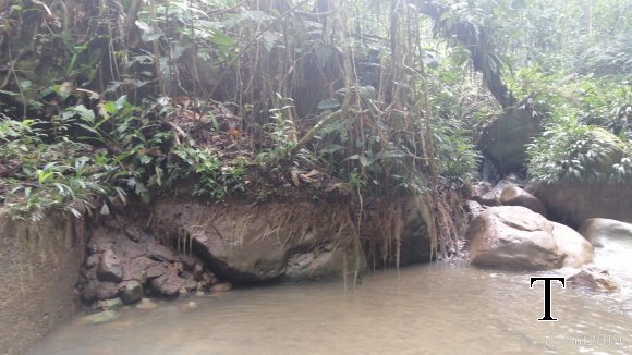 MANT REPRESA MARZO (8)