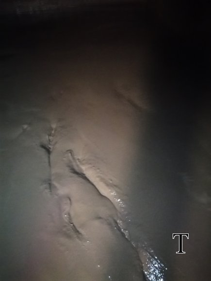 MANT TANQUES AGOSTO 2019 (10)