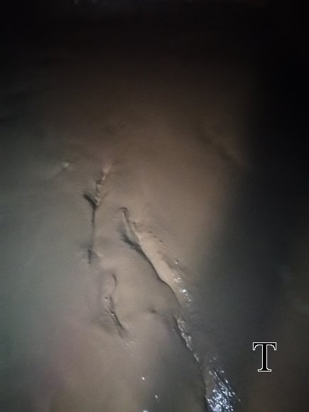 MANT TANQUES AGOSTO 2019 (9)