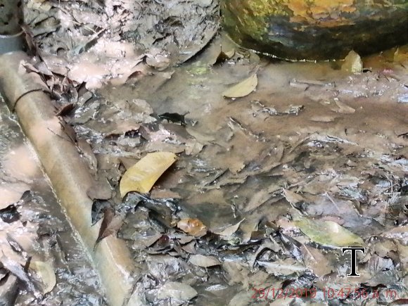 MAT REPRESA DIC 2019 (5)