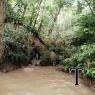 MAT REPRESA OCTUBRE (1)