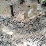MANT-RP-AGOSTO (12)
