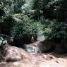 MANT-RP-AGOSTO (4)