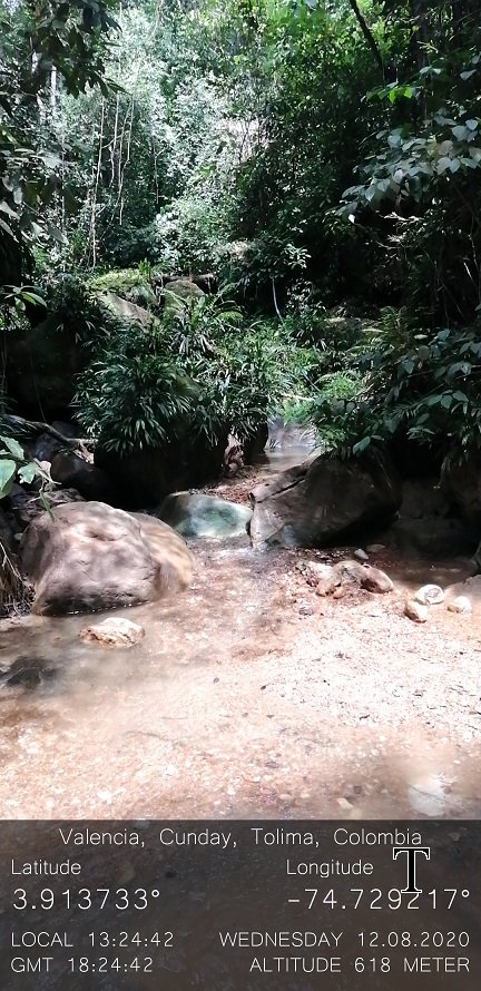 MANT-RP-AGOSTO (4)