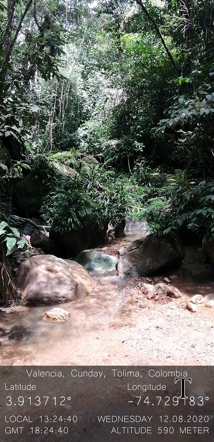 MANT-RP-AGOSTO (6)