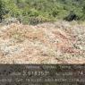 MANT-TANQUESLIMP (3)
