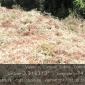 MANT-TANQUESLIMP (4)