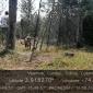 MANT-TANQUESLIMP (6)