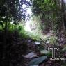 SAM_5873