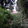 SAM_5874