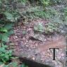 SAM_5925
