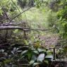SAM_5940