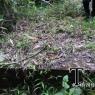 SAM_5942