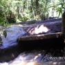 REPRESA FILTROS (20)