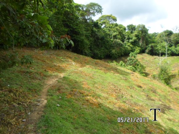 SENDERO REPRESA (1)