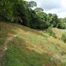 SENDERO REPRESA (2)