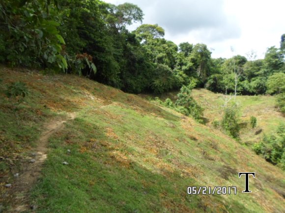 SENDERO REPRESA (2)