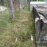TANQUES ENCIERRO (2)
