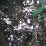20170519_112410
