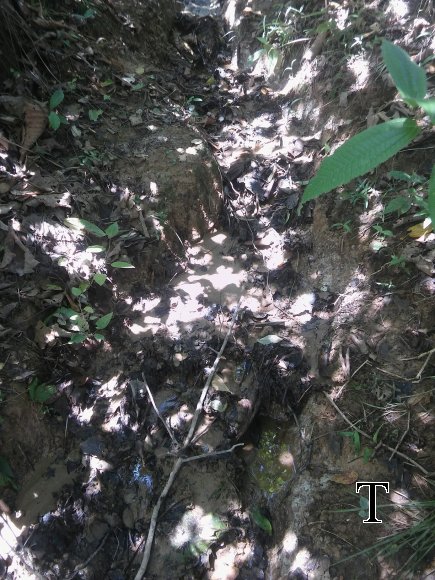 20170519_112410