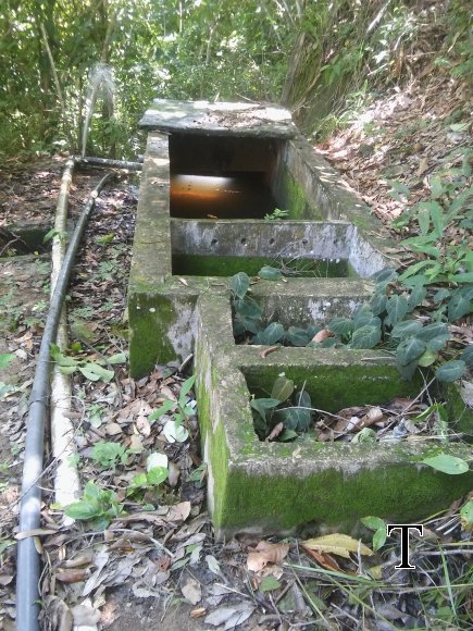 DESAIRADOR (1)