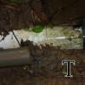 MANT TUBERIA2009 (3)