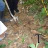 MANT TUBERIA2009 (5)