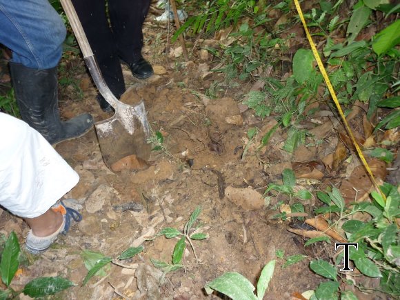 MANT TUBERIA2009 (5)