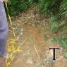 MANT TUBERIA2009 (6)