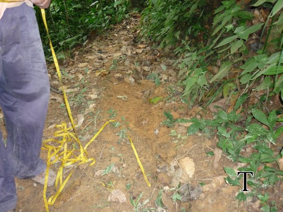 MANT TUBERIA2009 (6)